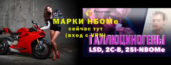 PSILOCYBIN Гусиноозёрск