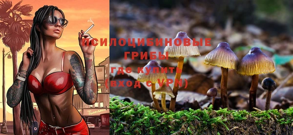 экстази Алексеевка