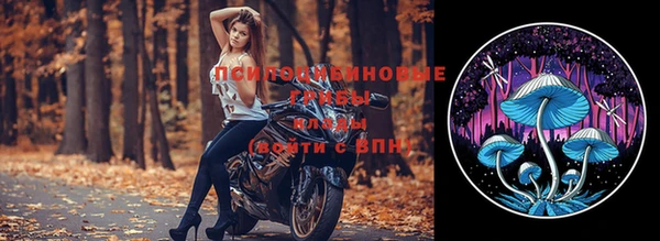 круглые Алзамай