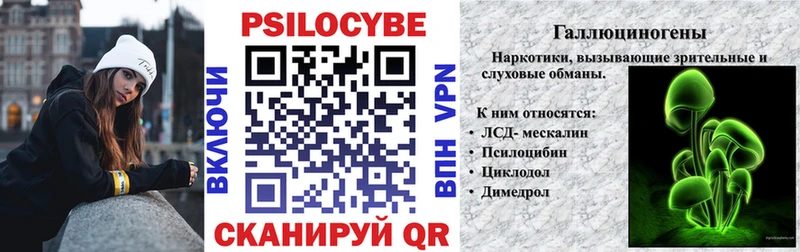 blacksprut зеркало  купить  цена  Михайловск  Галлюциногенные грибы Cubensis 